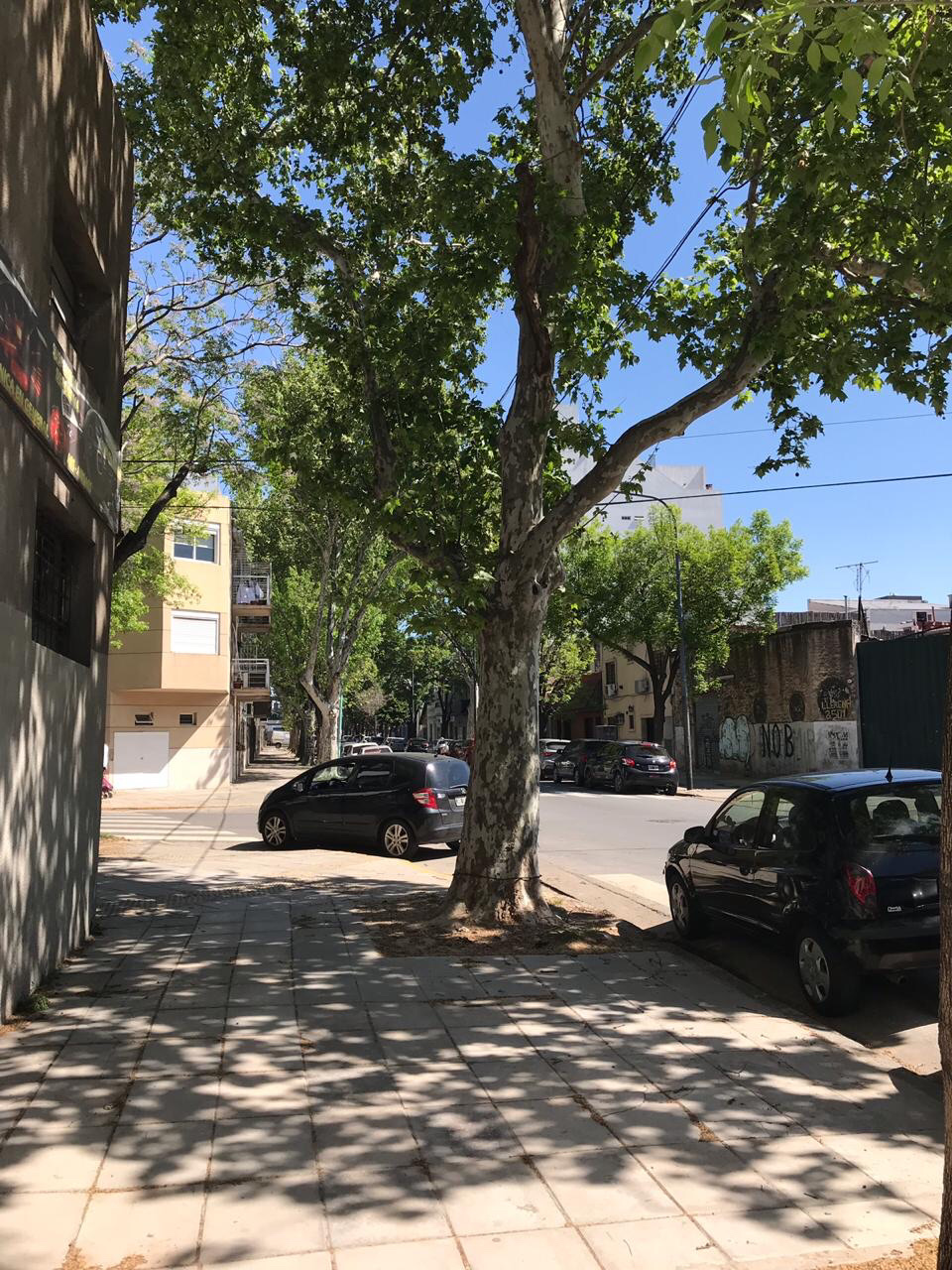 2d3b081e-ced3-48c2-845d-729b8522ec05