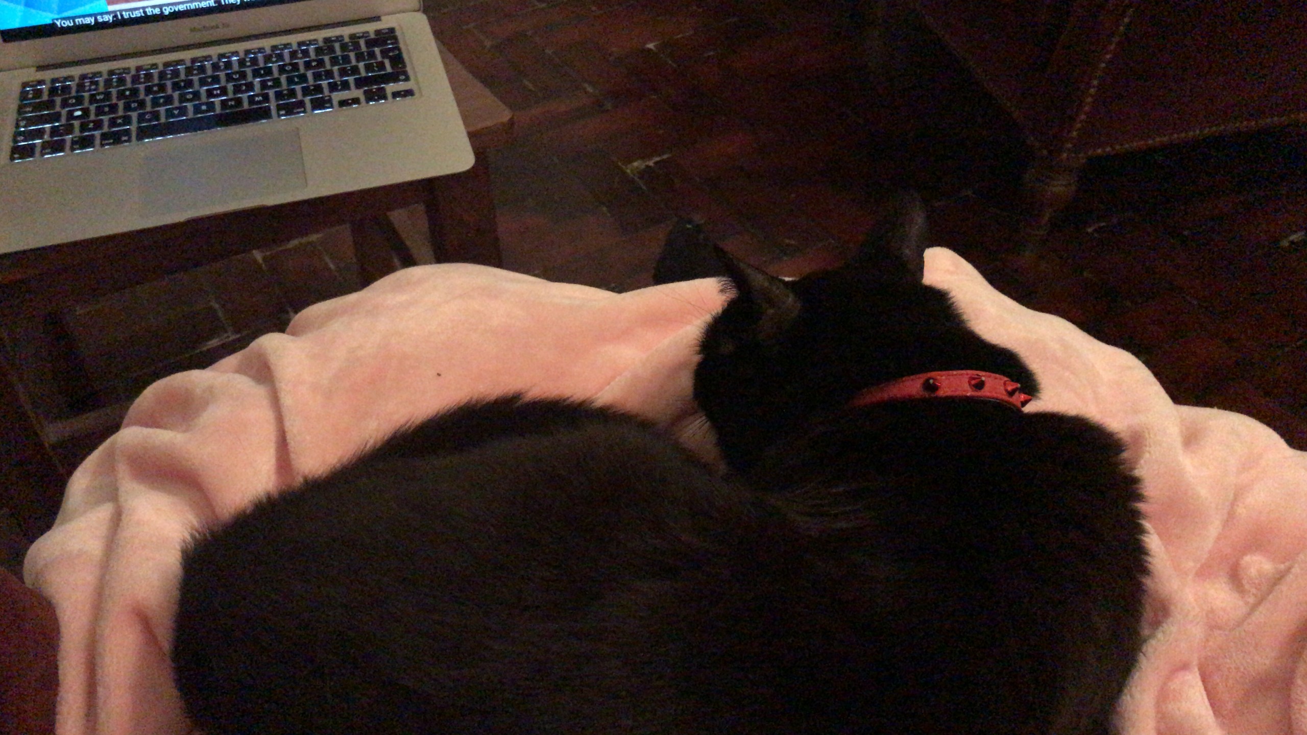 406c8afa-53d2-43c7-82a1-52c5bfa58331