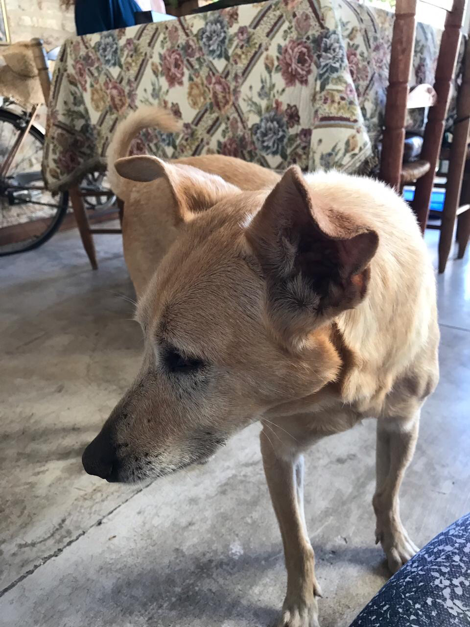 54b8ab01-3ea0-472c-9651-1080d6c0bf04