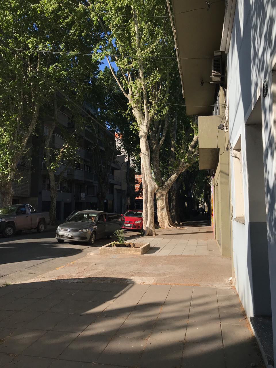 95360cf7-b781-42a4-bb08-ebc882feede6