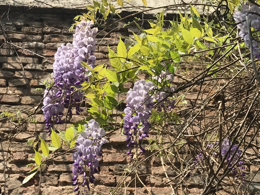 #plogtober 2020 dag&nbsp;1